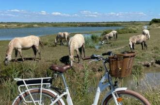 La clinique best sale du velo marennes